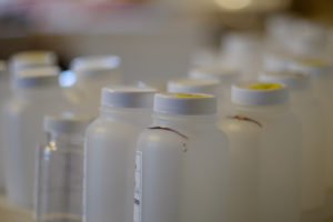 https://www.masstc.org/wp-content/uploads/2018/02/DSCF6831-300x200.jpg