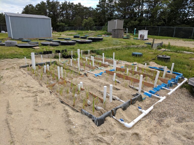Vertical Flow Wetlands - MASSTC