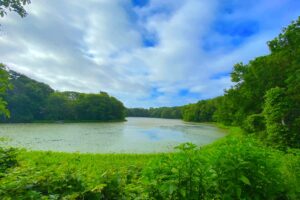 https://www.masstc.org/wp-content/uploads/2023/03/cataquin-pond-mashpee-1-300x200.jpg